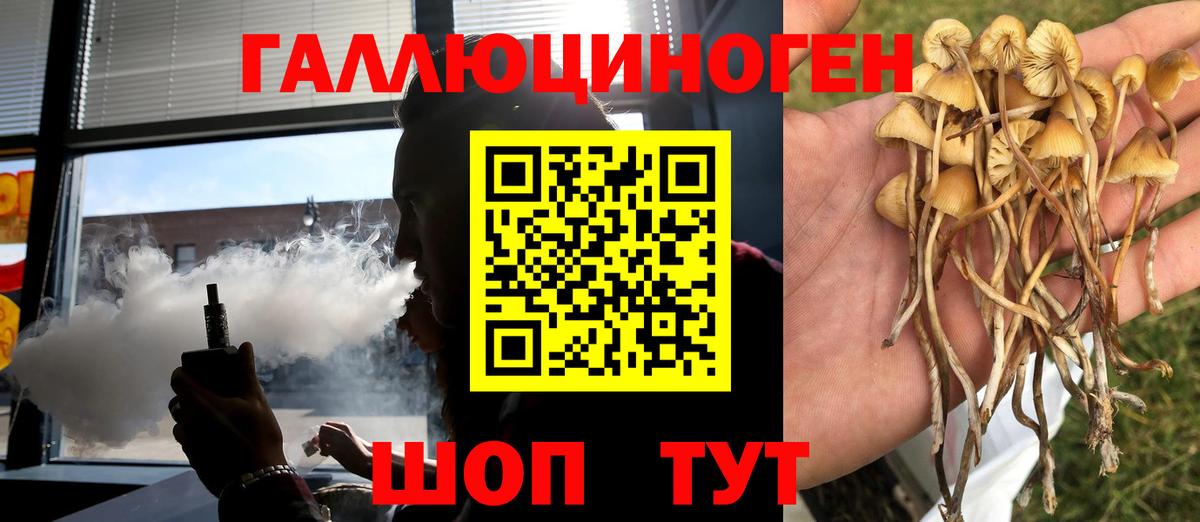Галлюциногенные грибы Cubensis  Вход с VPN  Верхняя Пышма 